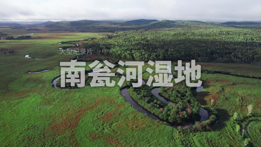 《南瓮河湿地》纪录片